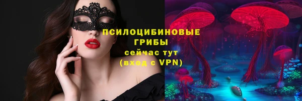 ПСИЛОЦИБИНОВЫЕ ГРИБЫ Армянск