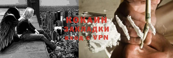 ГАЛЛЮЦИНОГЕННЫЕ ГРИБЫ Аркадак