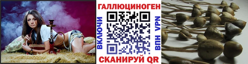 Псилоцибиновые грибы GOLDEN TEACHER Сосногорск